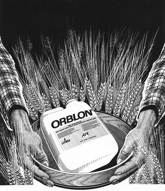 orblon1.jpg
