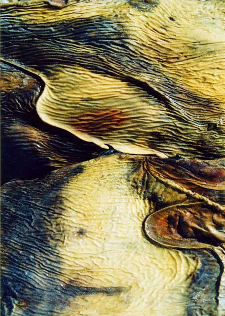 dunes1.jpg